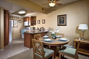 Desert Isle of Palm Springs - Image 4