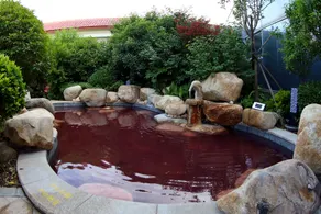 Aohua International Hot Spring Hotel - Image 3