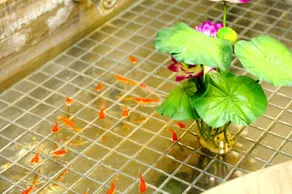Mingzhu Hotel - Image 3