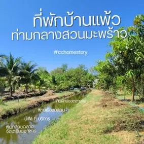 Coco and Canal - Image 4
