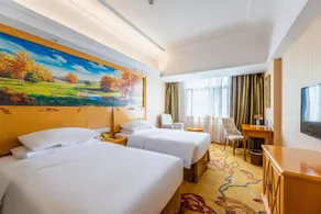 Vienna Hotel (Yiyang Branch) - Image 5