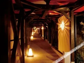 Gero Onsen Hanarenoyado Tsukinoakari - Image 3