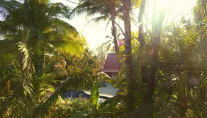 Sunset Shack Hotel - Image 2