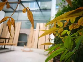 Jiajia Home - Image 4