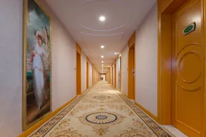 Vienna International Hotel (Dezhou Decheng) - Image 4