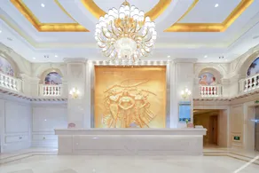 Vienna Hotel (Chashan High-speed Railway Station) - Image 3