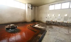 Kofu Shouwa Onsen Business Hotel - Image 2