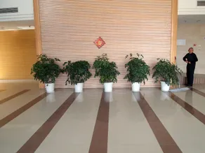 Xintiandi Business Hotel - Image 4