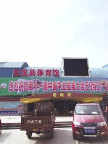 Diewu Qingchun Hotel - Image 2