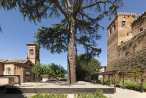 Rocca Di Arignano - Image 3