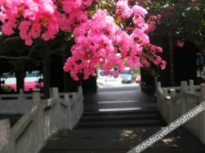 Yinxiu Shangting Hotel - Image 4