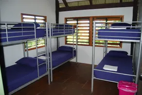 Jackaroo Treehouse Mission Beach - Hostel - Image 3
