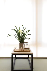 Buke Yashe Boutique Hotel (Chongqing West Railway Station) - Image 4