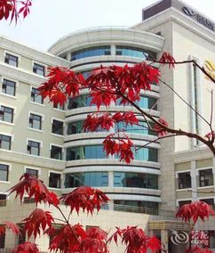 Rongcheng Celebrity Hotel (Rongcheng High Speed Rail Station Shop) - Image 3