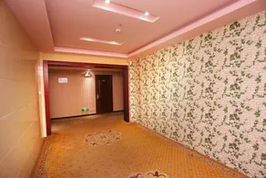 Yanlin Chain Hotel (Handan Guangming Avenue Sakura New World Branch) - Image 2