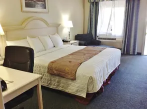 Americas Best Value Inn West Columbia - Image 2