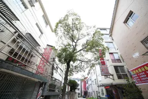 OYO yichang kangju hotel - Image 3