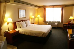 Country Inn & Suites By Radisson, Lansing, Mi - Image 4