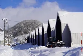 Niseko White Villas1 - Image 3