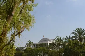MD Modern Hotel - Jardines - Image 2