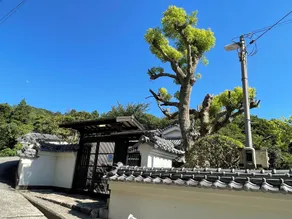 minamiseto karoto kazemachitei - Image 3