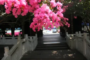 Yinxiu Shangting Hotel - Image 4