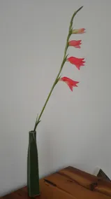 Hetianli - Image 5