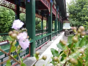 Sunlon Xiangshan Conference Center - Image 5
