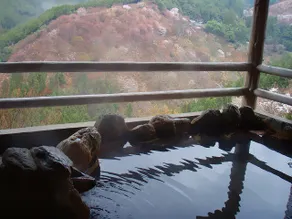 Ryujin Onsen Shimogoten - Image 3