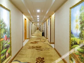 Vienna International Hotel (Shijiazhuang Zhonghua North Street) - Image 4
