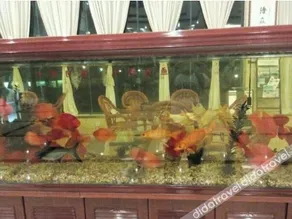 Wencheng International Hotel - Image 4