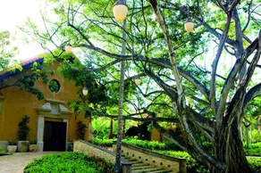 Dorado Beach, a Ritz-Carlton Reserve - Image 3