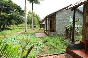 Long Phuong Homestay - Image 4