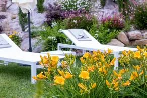 Villa Nonna Cicci B&B - SPA - Image 2