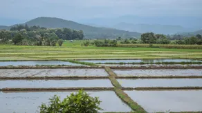 Mala Dhara Eco Resort - Image 3