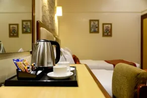 Hotel Ameya - Image 3