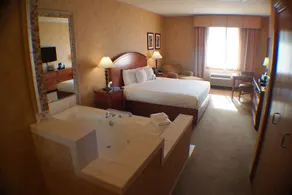 Hollywood Casino Joliet Hotel - Image 5