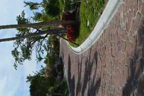 Casa Juan - Luxury Home - Image 5