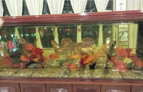 Wencheng International Hotel - Image 4