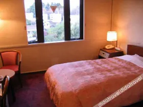 Tatebayashi Grand Hotel - Image 3