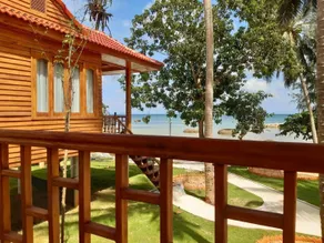 Cay Sao Phu Quoc - Image 5