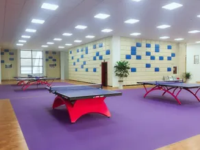 Holy Land Red City Health Hotel - Image 5