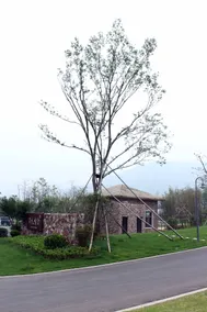 Kaiyuan Resort Hotel - Image 5