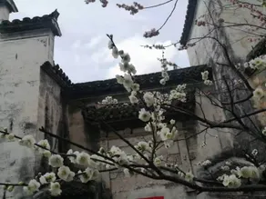 Sheng Zai Huizhou Boutique Hostel - Image 2