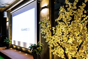 Island Hotel - Image 4