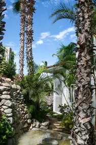 Casa Juan - Luxury Home - Image 2
