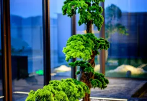 Juchunyuan·Wolong Villa Hotel - Image 3
