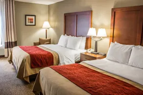 Comfort Inn Research Triangle Park - Image 4