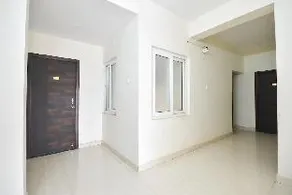 Vangal Nest - Image 4