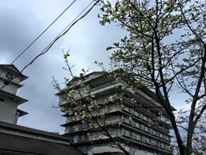 Hotel Seifuen - Image 2